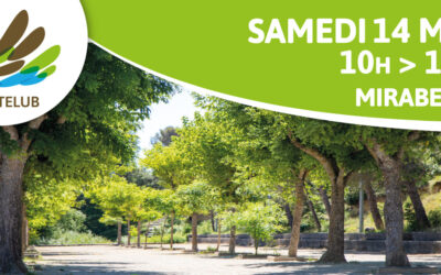 Développement durable : les bougies parfumées naturelles Joséphine au DD’ Festival, le 14 mai 2022 à Mirabeau