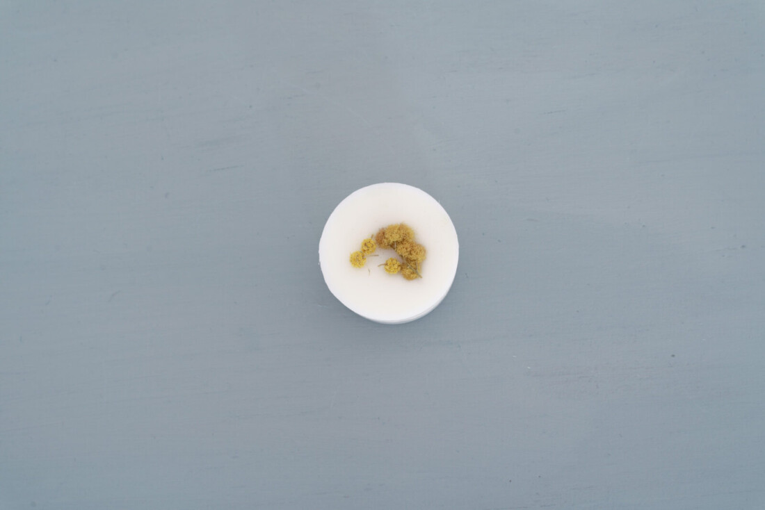Fondant cire parfumee mimosa 1