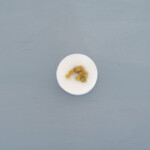 Fondant cire parfumee mimosa 1