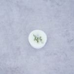 fondant cire parfumee fleur oranger
