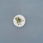 Fondant cire parfumee verveine